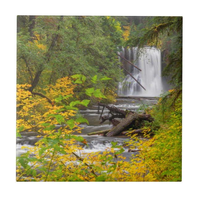 EUA, Oregon, Parque Estadual Silver Falls 2 (Frente)