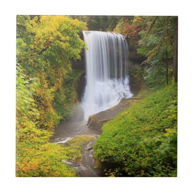 EUA, Oregon, Parque Estadual Silver Falls 3 (Frente)