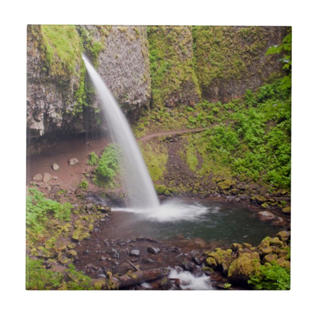 EUA, Oregon, Rio Columbia Gorge 4 (Frente)