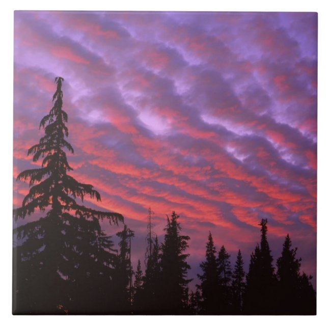 EUA, Oregon, Three Sisters Wilderness, Vívido (Frente)