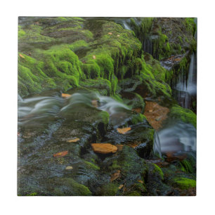 EUA, Pensilvânia, Benton, Ricketts Glen State