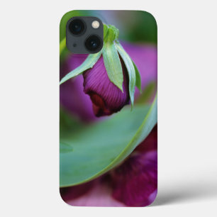 EUA, Pensilvânia. Botão do ventilador abrindo no