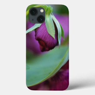 EUA, Pensilvânia. Botão do ventilador abrindo no