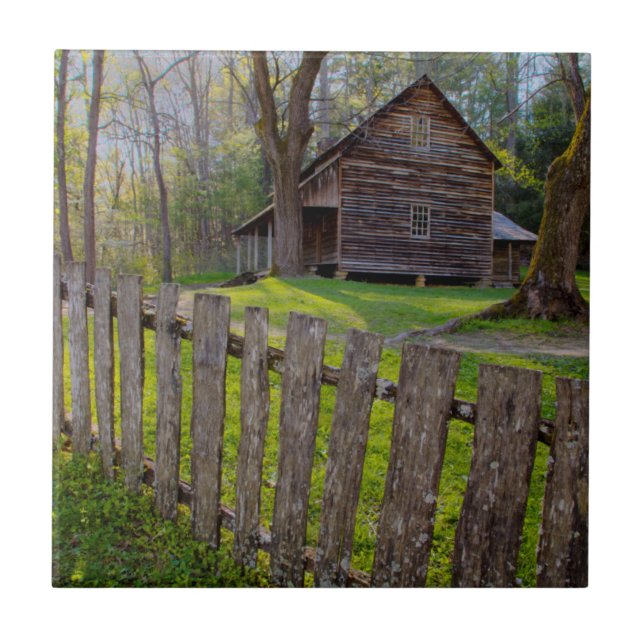 EUA, Tennessee, cabine em Cades Cove (Frente)