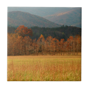 EUA, Tennessee. Cades Cove nas Smoky Mountain