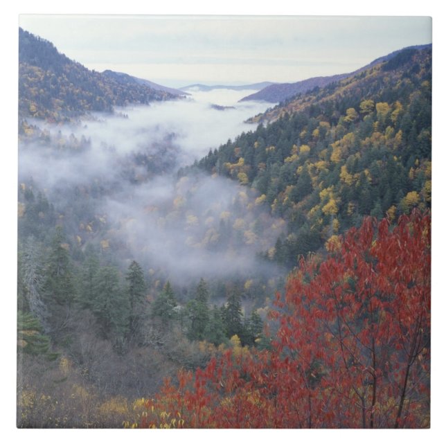 EUA, Tennessee, Excelente Smokey Mountains Nationa (Frente)