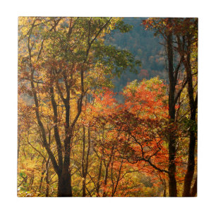 EUA, Tennessee. Folhagem de Outono