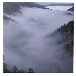 EUA, Tennessee. Parque Nacional das Grandes Montan