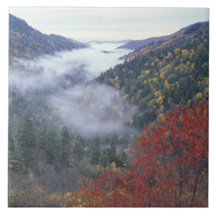 EUA, Tennessee, Parque Nacional Grandes Montanhas