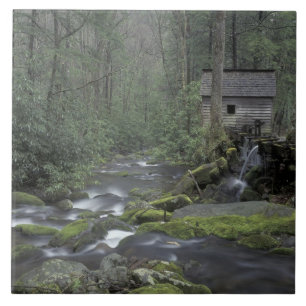 EUA, Tennessee, Parque Nacional Great Smoky Mounta