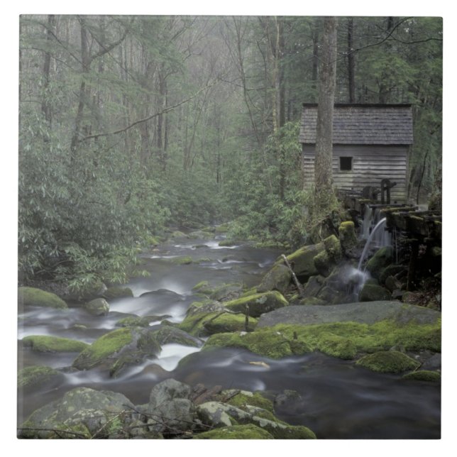 EUA, Tennessee, Parque Nacional Great Smoky Mounta (Frente)