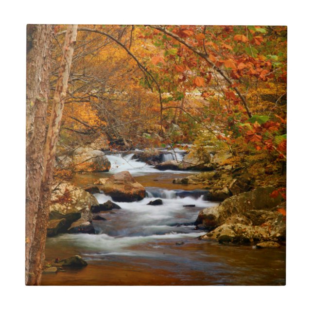 EUA, Tennessee. Rushing Mountain Creek (Frente)
