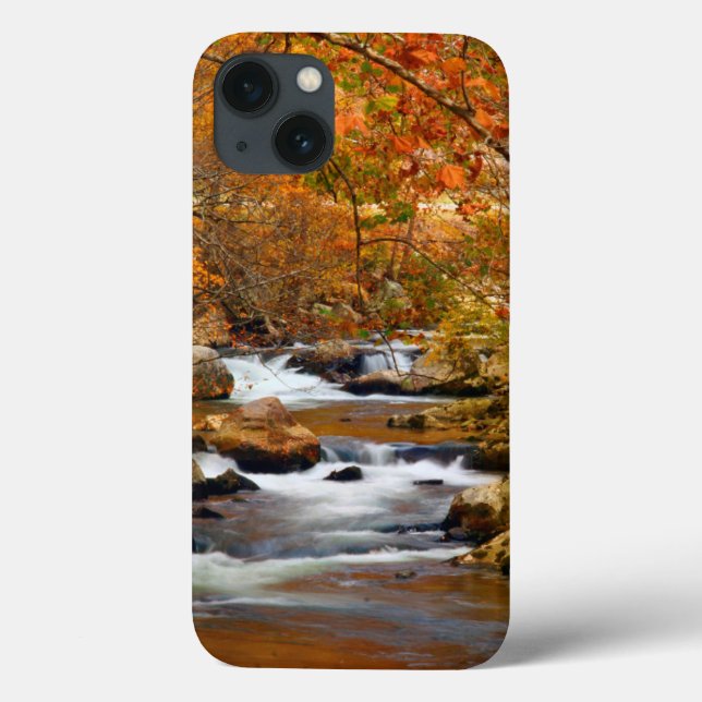 EUA, Tennessee. Rushing Mountain Creek (Verso)