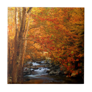 EUA, Tennessee. Rushing Mountain Creek 2