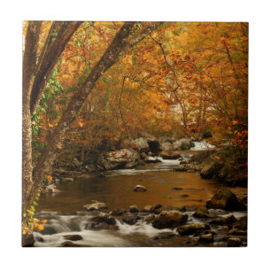EUA, Tennessee. Rushing Mountain Creek 3