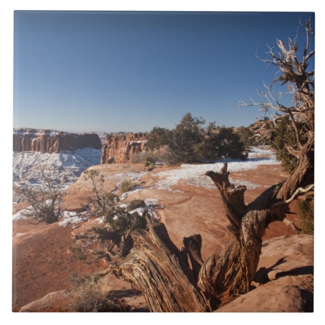 EUA, Utah, Moab. Parque Nacional Canyonlands, (Frente)