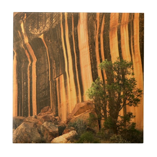 EUA, Utah, Parque Nacional Capitol Reef (Frente)