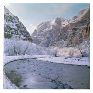 EUA, Utah, Zion NP. Neve fresca cobre o canyon