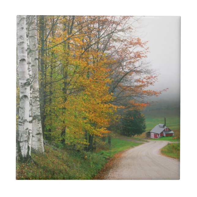 EUA, Vermont. Casa de Açúcar Perto da Cidade de So (Frente)