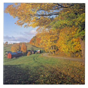 EUA, Vermont, Jenne Farm. Outono chega a Jenne