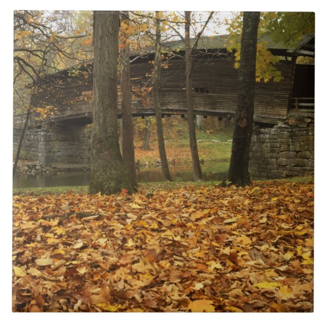 EUA, Virginia, Covington, Humpback coberto (Frente)