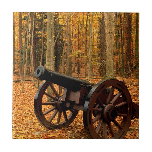 EUA, Virgínia, Histórico Nacional Colonial (Frente)