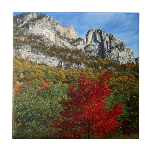 EUA, Virgínia Ocidental, Spruce Knob-Seneca Rocks (Frente)