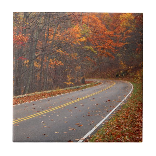 EUA, Virgínia, Parque Nacional Shenandoah, Skyline (Frente)