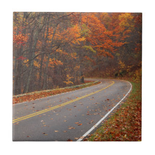 EUA, Virginia, Shenandoah National Park, Skyline