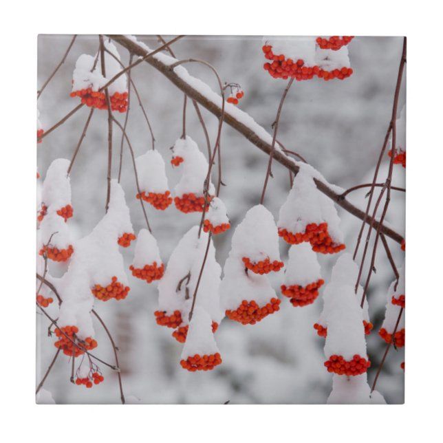 EUA, Washington, Condado de Spokane (Frente)