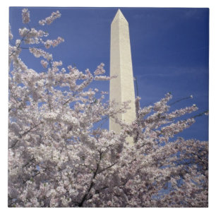 EUA, Washington DC. Festival das Cerejeiras e