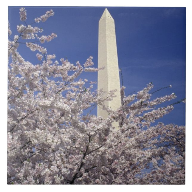 EUA, Washington DC. Festival das Cerejeiras e (Frente)
