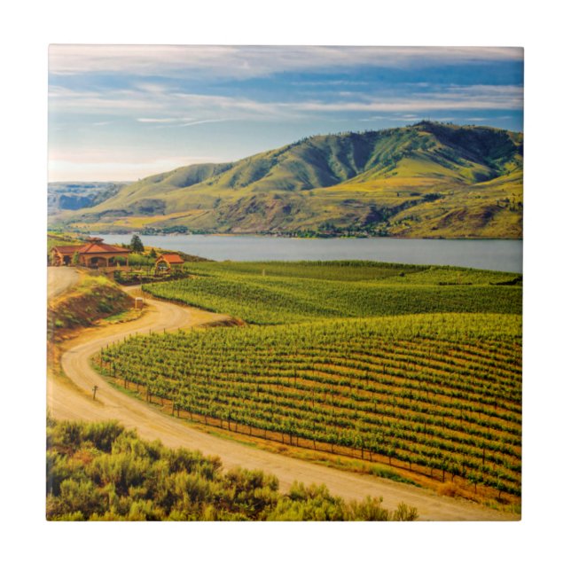 EUA, Washington, Lago Chelan. Benson Vineyards (Frente)