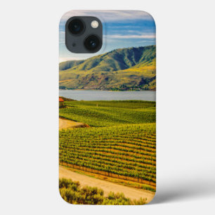 EUA, Washington, Lago Chelan. Vineyards Benson