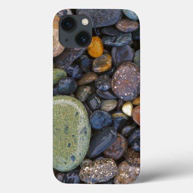 EUA, Washington, Lopez Island, Praia Agate (Verso)