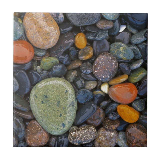 EUA, Washington, Lopez Island, Praia Agate (Frente)