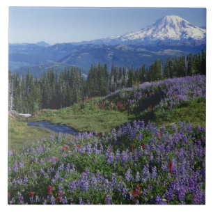 EUA, Washington Mt. Adams Wilderness, Prados