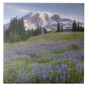 EUA, Washington, Mt. Rainier NP, Mt. Rainier e