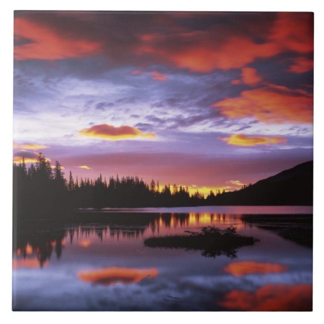 EUA, Washington, Parque Nacional Mt. Rainier, (Frente)