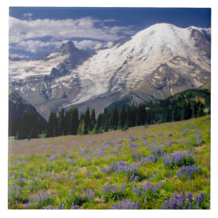 EUA, Washington, Parque Nacional Mt. Rainier.