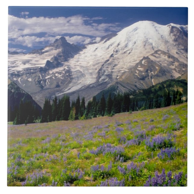 EUA, Washington, Parque Nacional Mt. Rainier. (Frente)