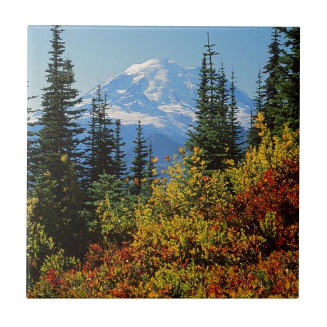 EUA, Washington, Parque Nacional Mt. Rainier 2 (Frente)