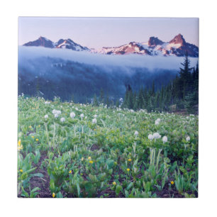 EUA, Washington, Parque Nacional Mt. Rainier 4
