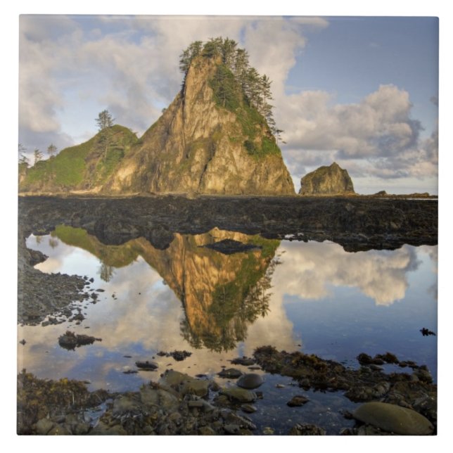 EUA, Washington, Parque Nacional Olimpiadas.A (Frente)