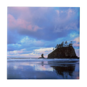 EUA, Washington, Parque Nacional Olímpico 2