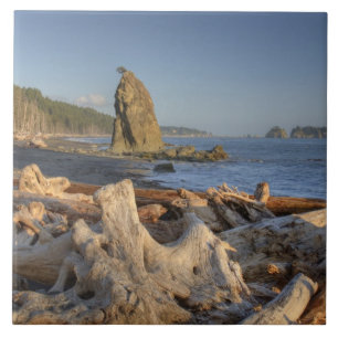 EUA, Washington, Parque Nacional Olímpico, Rialto