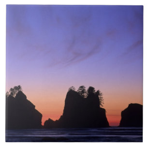 EUA, Washington, Parque Nacional Olímpico, Shi-shi