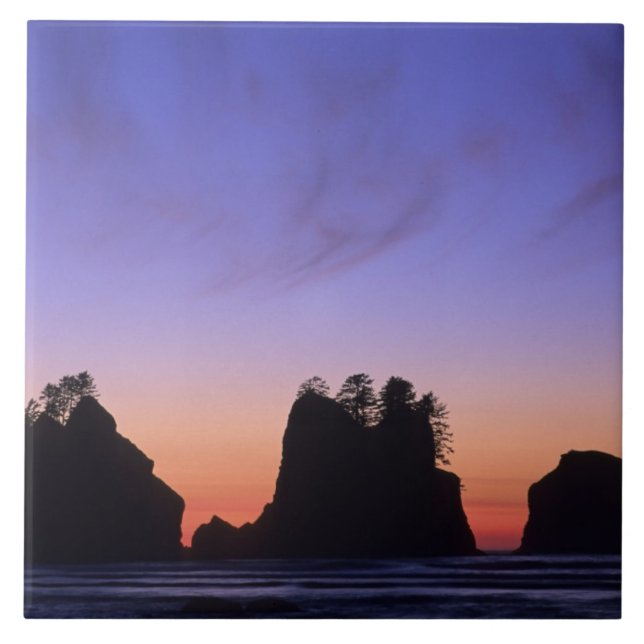 EUA, Washington, Parque Nacional Olímpico, Shi-shi (Frente)