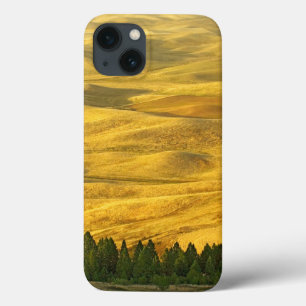 EUA, Washington, Whitman County, Palouse, Wheat