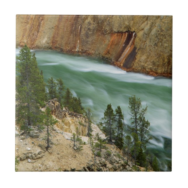 EUA, Wyoming, Parque Nacional de Yellowstone (Frente)